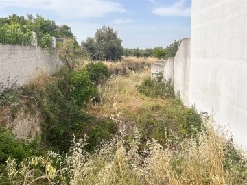 Terreno para Venda em Castelo Branco