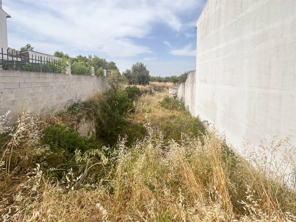 Terreno para Venda em Castelo Branco Foto 26