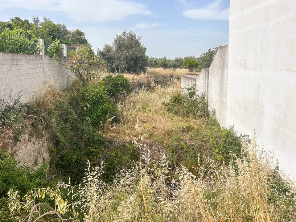 Terreno para Venda em Castelo Branco Foto 25