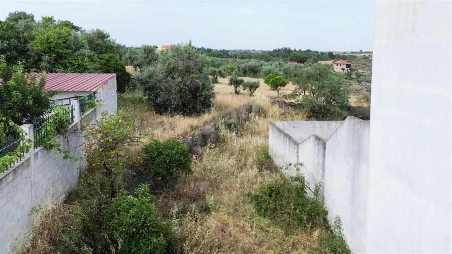 Terreno para Venda em Castelo Branco Foto 14
