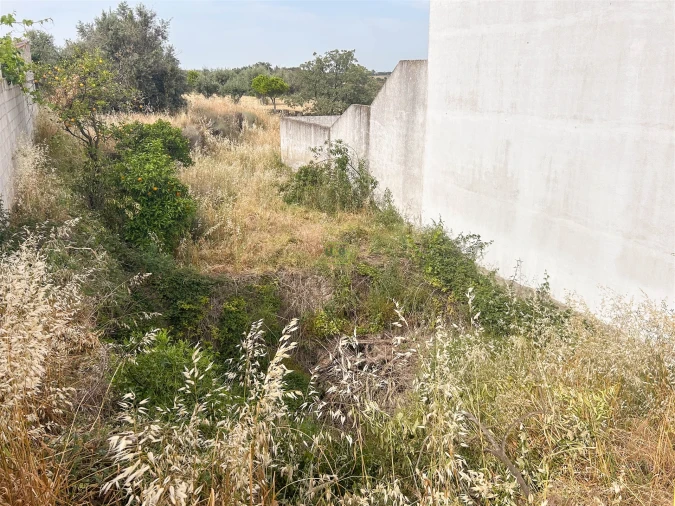 Terreno para Venda em Castelo Branco Foto 28