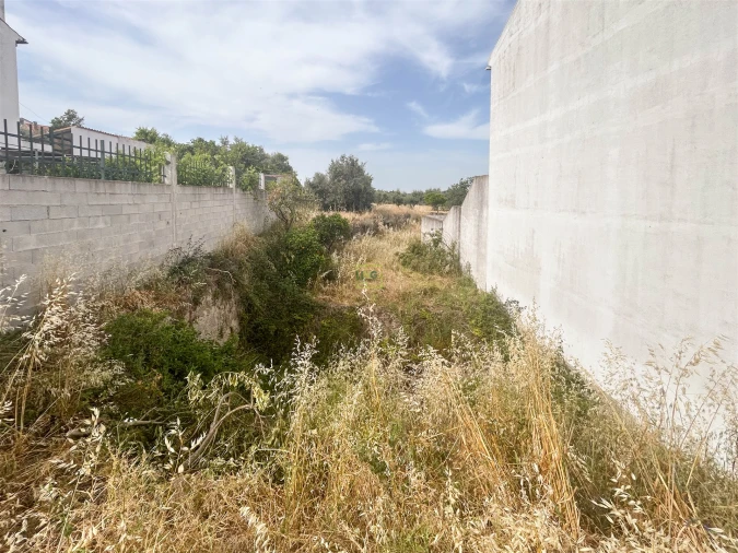 Terreno para Venda em Castelo Branco Foto 26