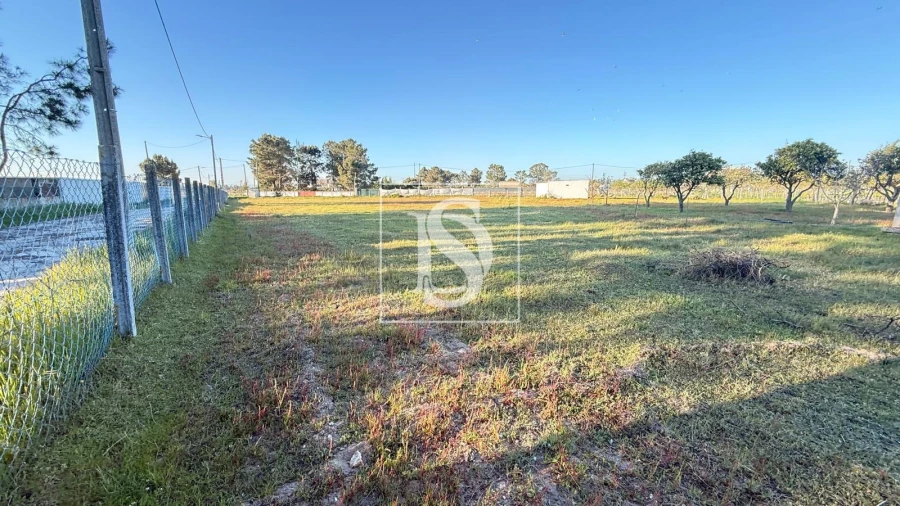 Terreno para Venda em Quinta do Anjo Foto 5
