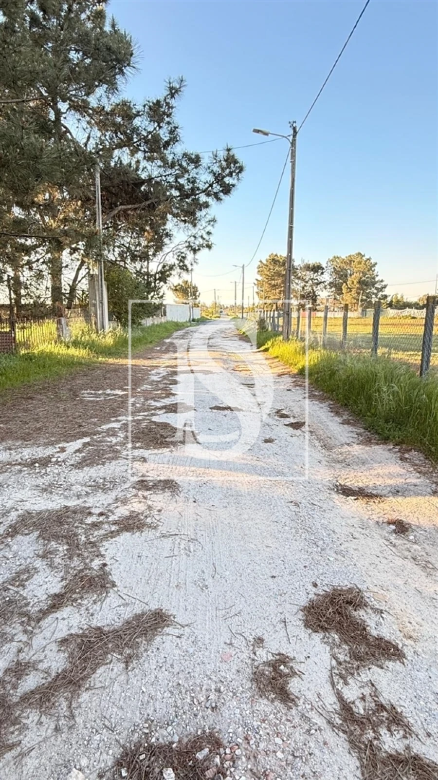 Terreno para Venda em Quinta do Anjo Foto 3