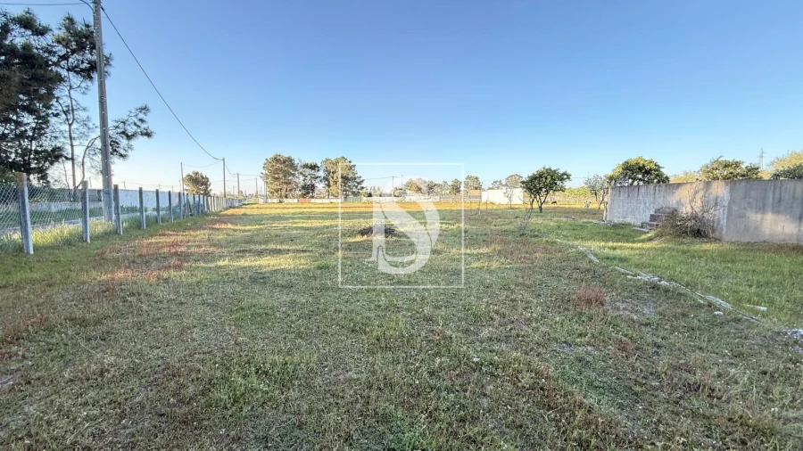 Terreno para Venda em Quinta do Anjo Foto 6