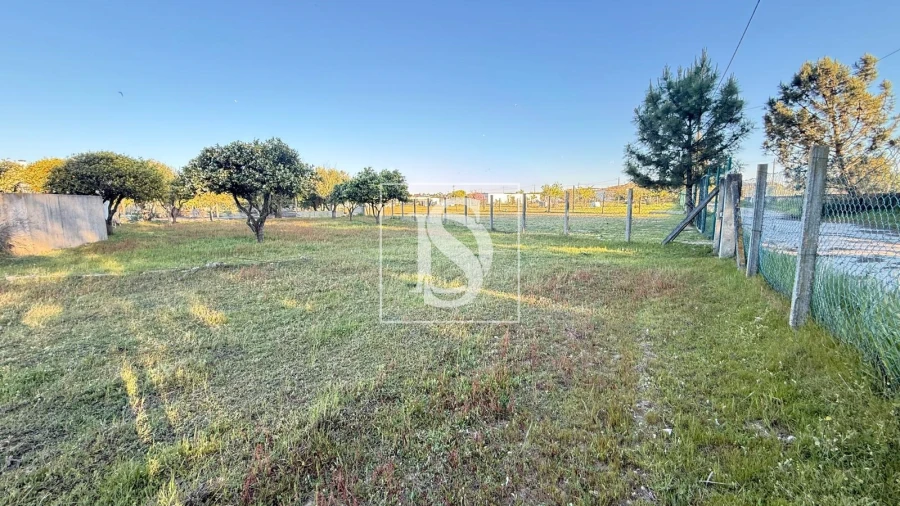 Terreno para Venda em Quinta do Anjo Foto 4