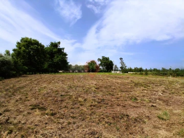 Terreno para Venda em Monção e Troviscoso
