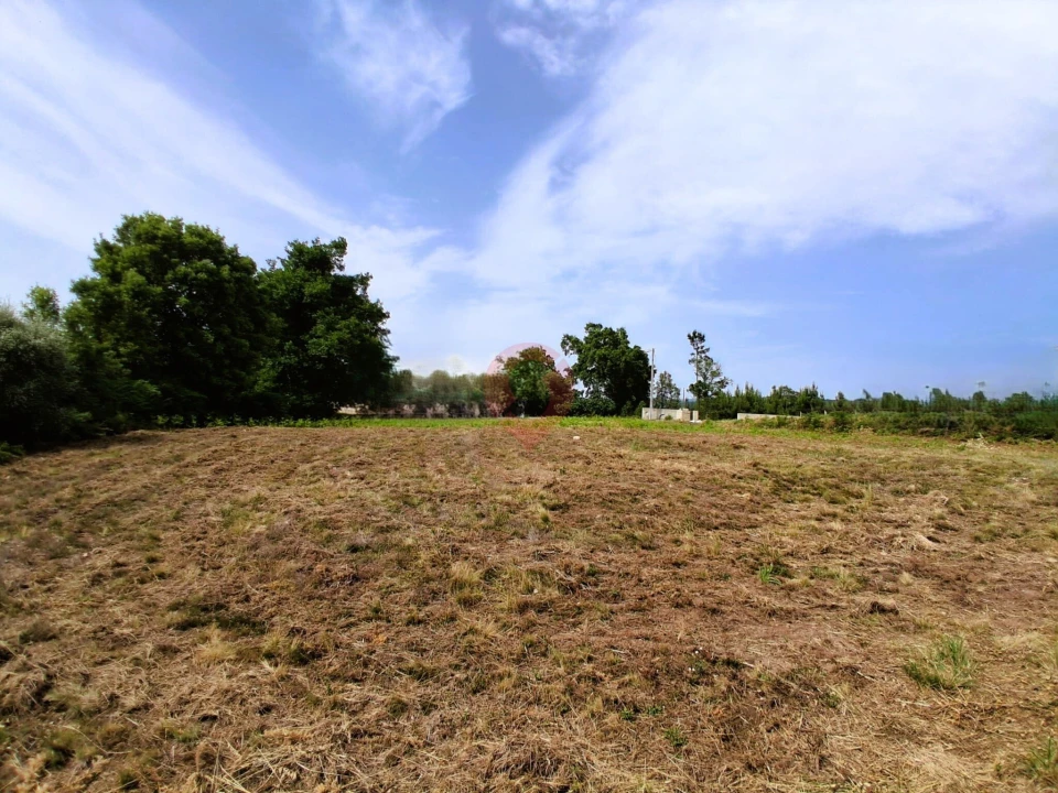 Terreno para Venda em Monção e Troviscoso Foto 9