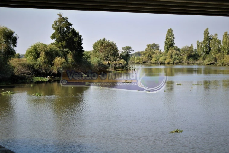Moradia T1 para Venda em Benavente Foto 17