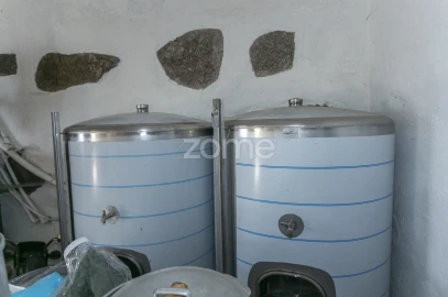 Moradia T5 para Venda em Termas de São Vicente