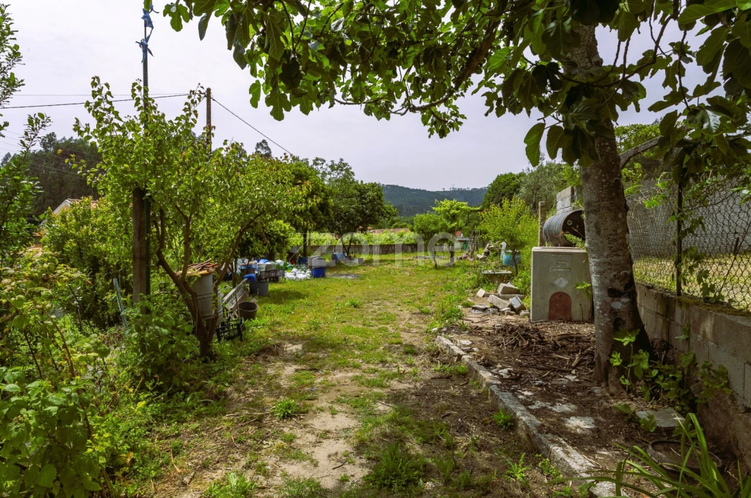 Moradia T5 para Venda em Termas de São Vicente Foto 42