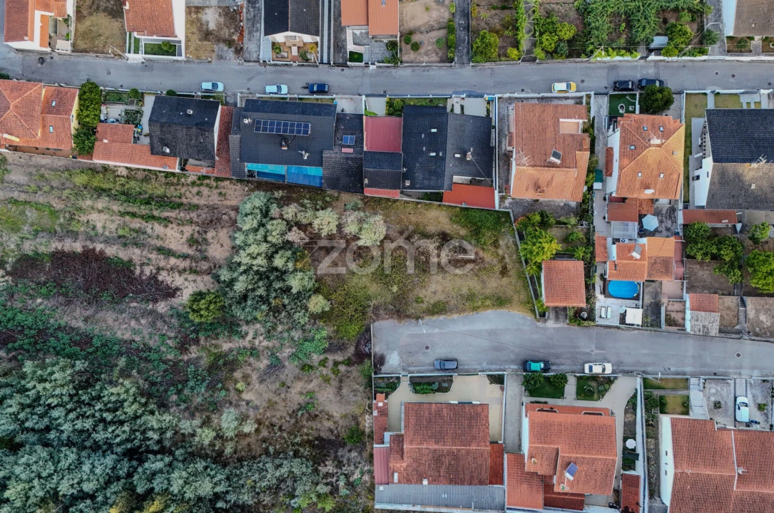 Terreno para Venda em São Martinho do Bispo e Ribeira de Frades Foto 16