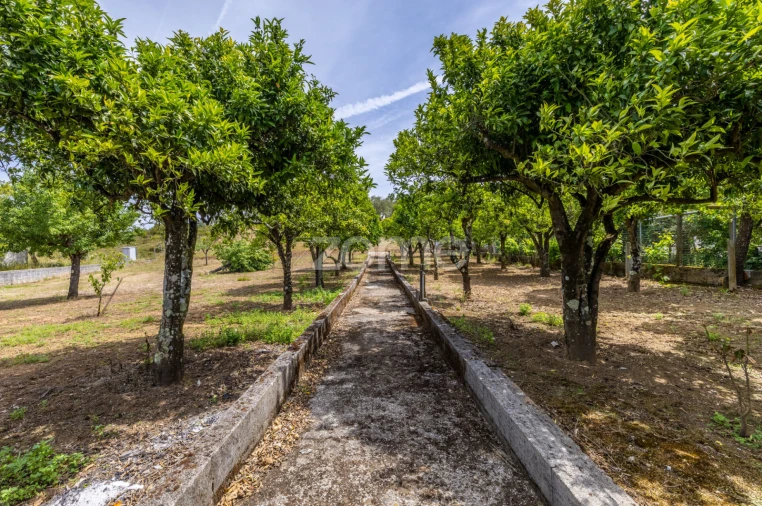 Terreno para Venda em Casais e Alviobeira Foto 13