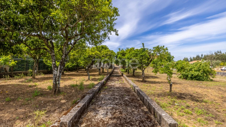 Terreno para Venda em Casais e Alviobeira