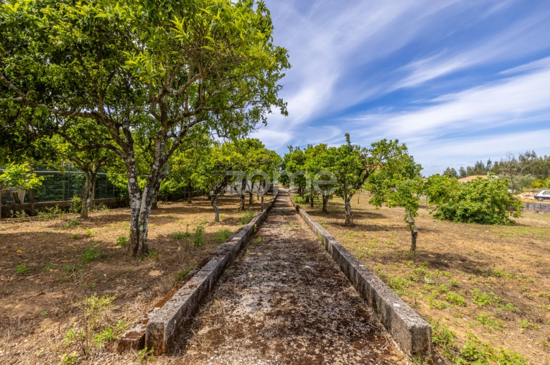 Terreno para Venda em Casais e Alviobeira Foto 14