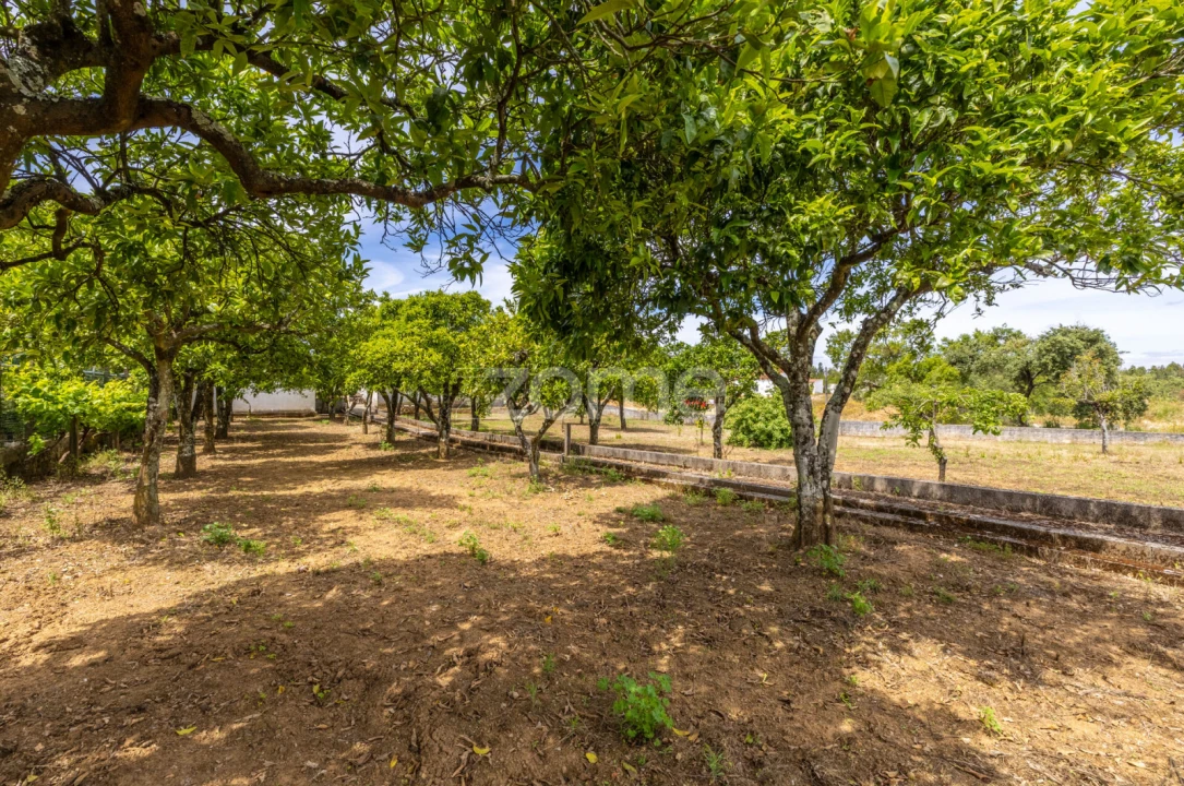 Terreno para Venda em Casais e Alviobeira Foto 15
