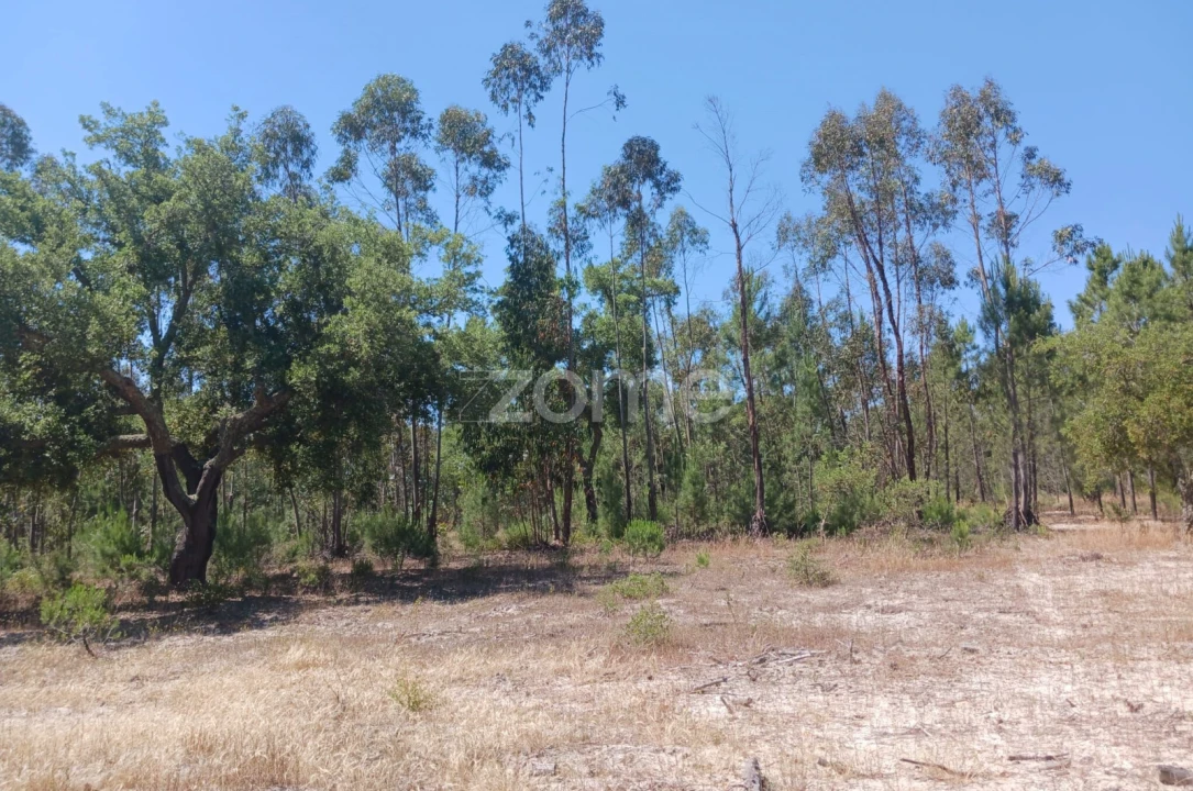 Terreno para Venda em Grândola e Santa Margarida da Serra Foto 14