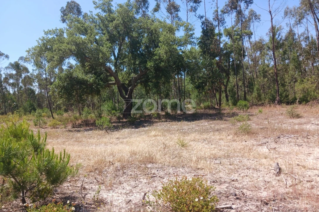 Terreno para Venda em Grândola e Santa Margarida da Serra Foto 15