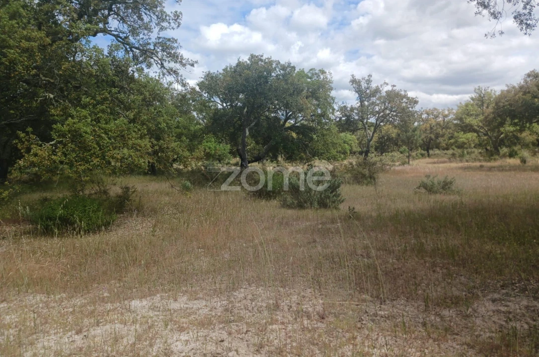 Terreno para Venda em Grândola e Santa Margarida da Serra Foto 2