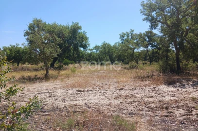 Terreno para Venda em Grândola e Santa Margarida da Serra