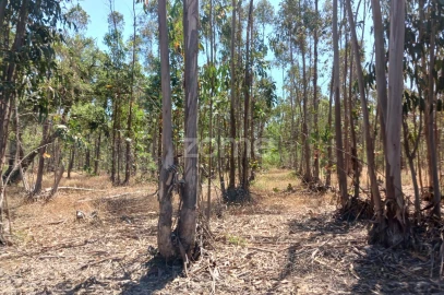 Terreno para Venda em Grândola e Santa Margarida da Serra