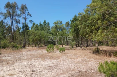 Terreno para Venda em Grândola e Santa Margarida da Serra