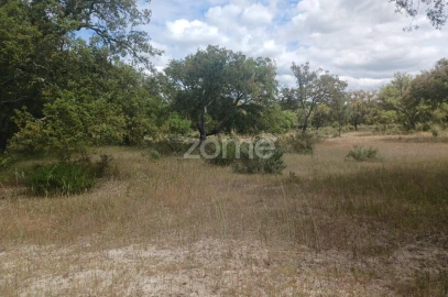 Terreno para Venda em Grândola e Santa Margarida da Serra