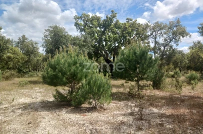 Terreno para Venda em Grândola e Santa Margarida da Serra