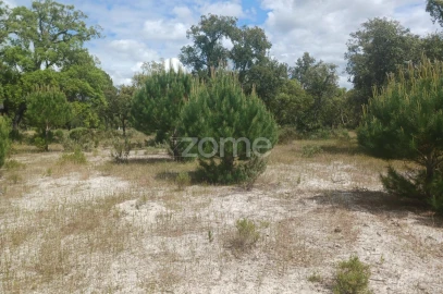 Terreno para Venda em Grândola e Santa Margarida da Serra