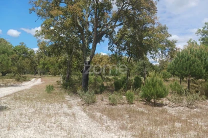 Terreno para Venda em Grândola e Santa Margarida da Serra