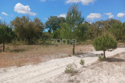 Terreno para Venda em Grândola e Santa Margarida da Serra