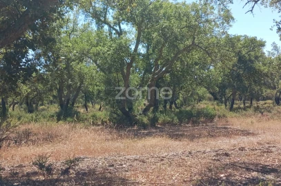 Terreno para Venda em Grândola e Santa Margarida da Serra