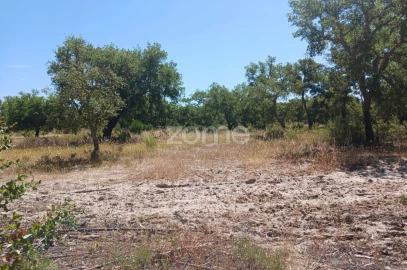 Terreno para Venda em Grândola e Santa Margarida da Serra