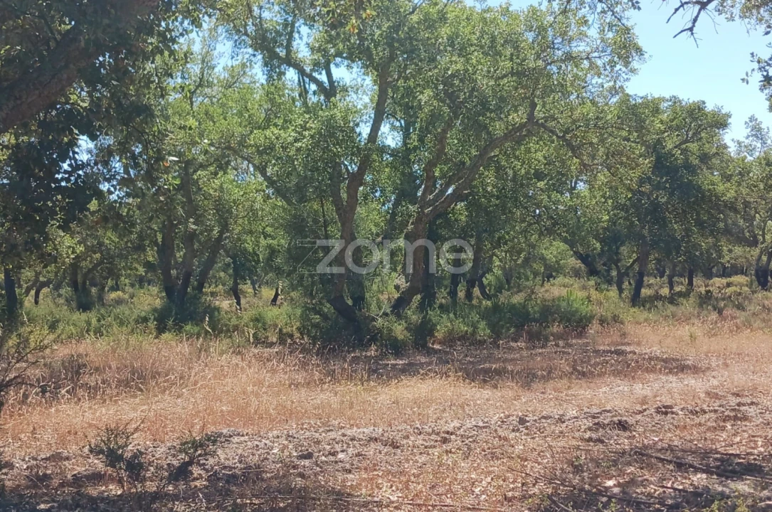 Terreno para Venda em Grândola e Santa Margarida da Serra Foto 7