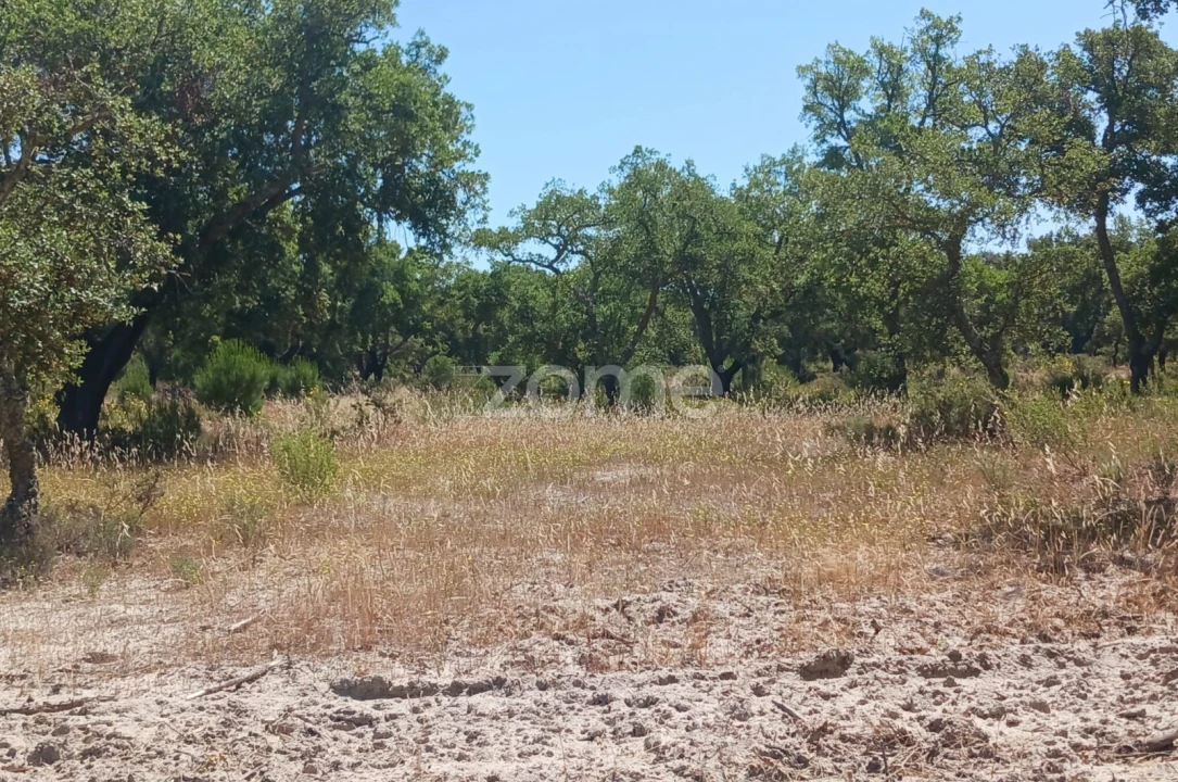 Terreno para Venda em Grândola e Santa Margarida da Serra Foto 8