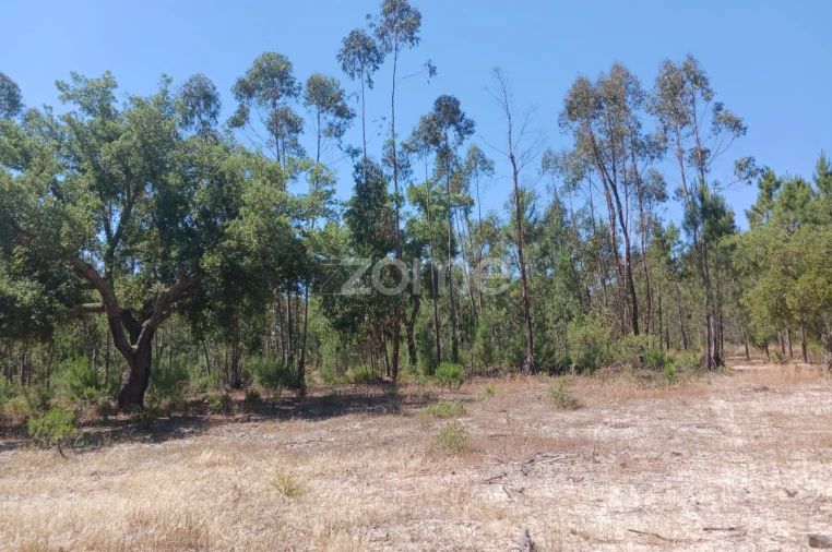 Terreno para Venda em Grândola e Santa Margarida da Serra Foto 14