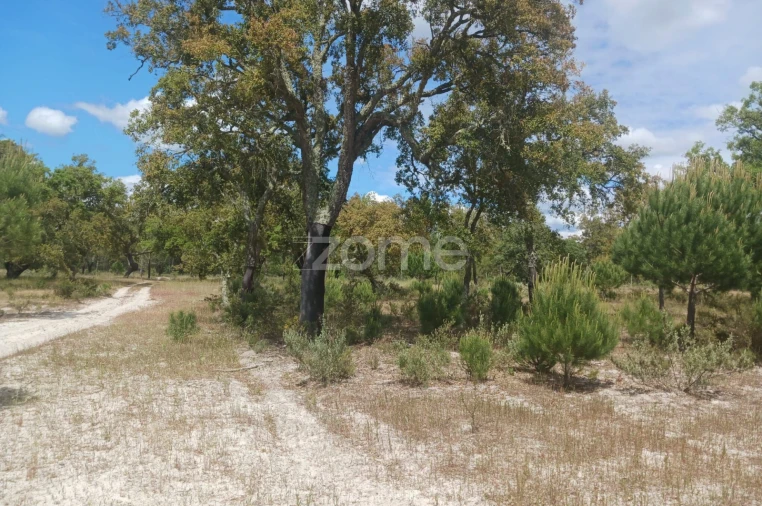 Terreno para Venda em Grândola e Santa Margarida da Serra Foto 5