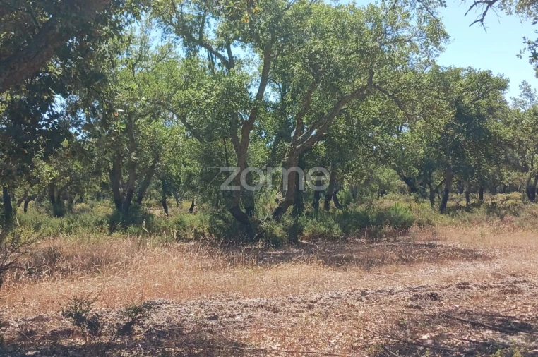 Terreno para Venda em Grândola e Santa Margarida da Serra Foto 7