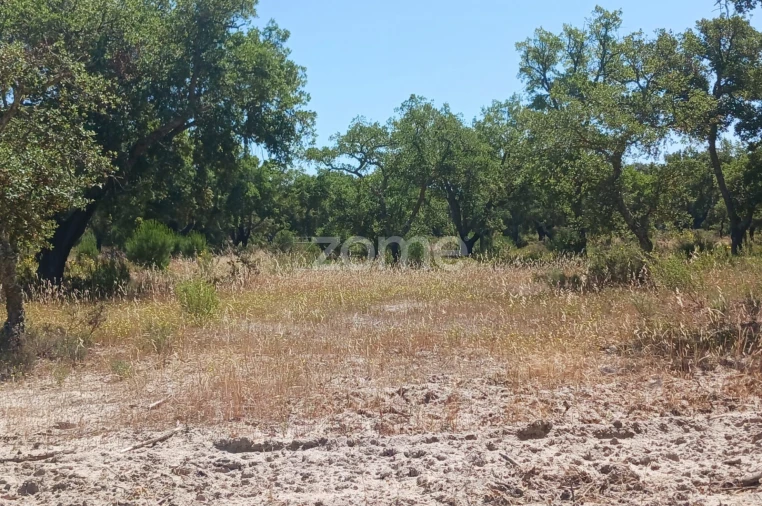Terreno para Venda em Grândola e Santa Margarida da Serra Foto 8