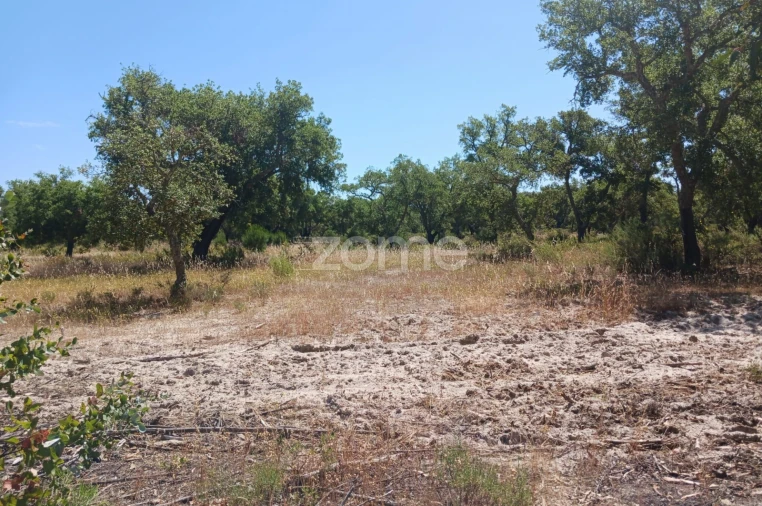 Terreno para Venda em Grândola e Santa Margarida da Serra Foto 9