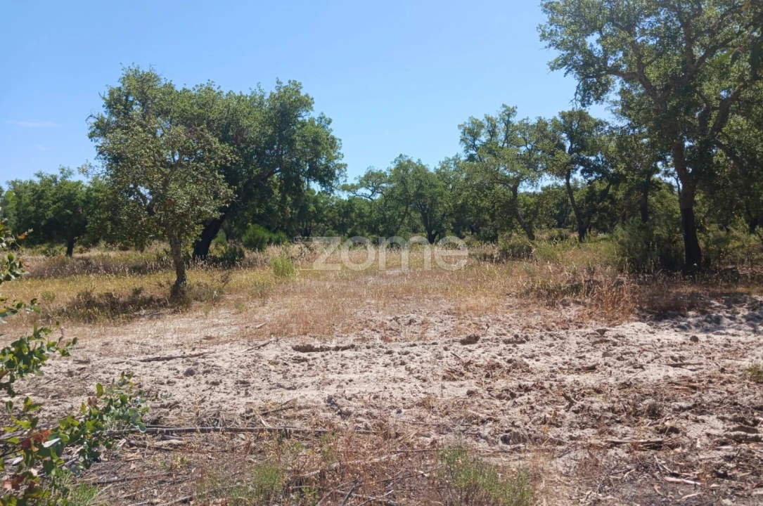 Terreno para Venda em Grândola e Santa Margarida da Serra Foto 9