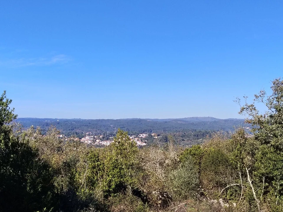 Terreno para Venda em Ansião Foto 1