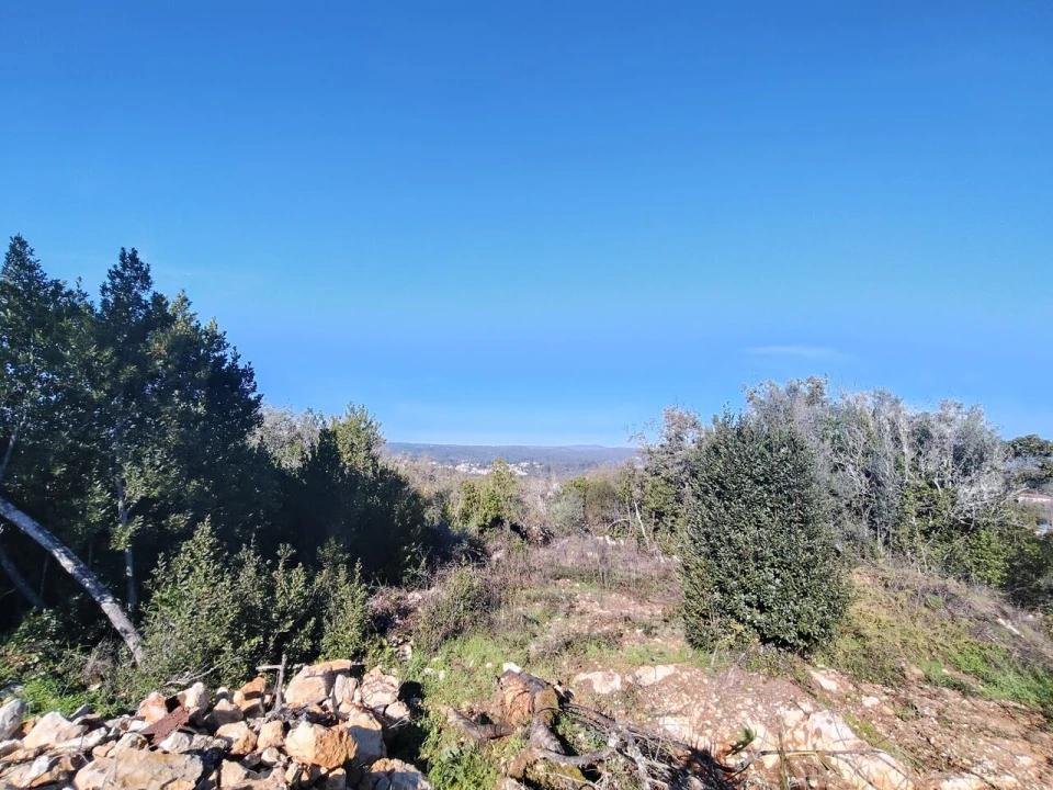 Terreno para Venda em Ansião Foto 4