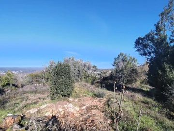 Terreno para Venda em Ansião