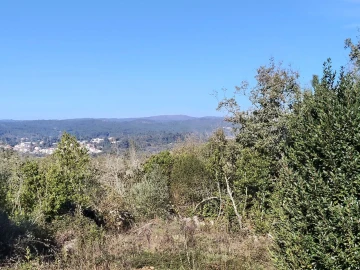 Terreno para Venda em Ansião