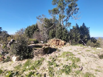 Terreno para Venda em Ansião