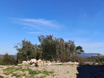 Terreno para Venda em Ansião