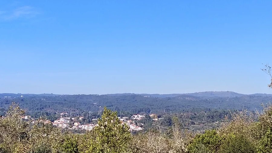 Terreno para Venda em Ansião