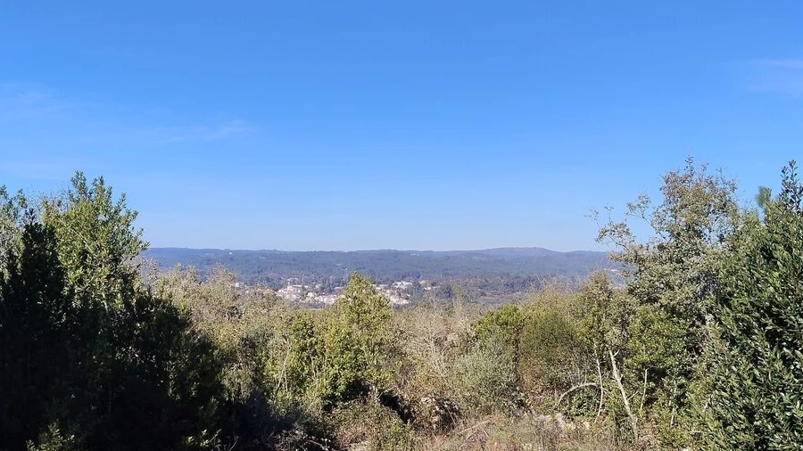 Terreno para Venda em Ansião