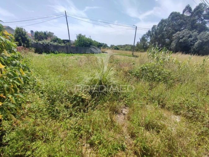 Terreno para Venda em Soza Foto 5